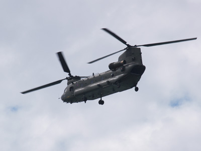 Chinook
