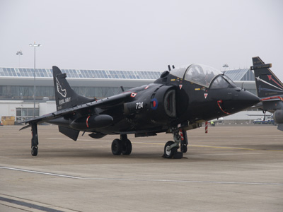 Harrier