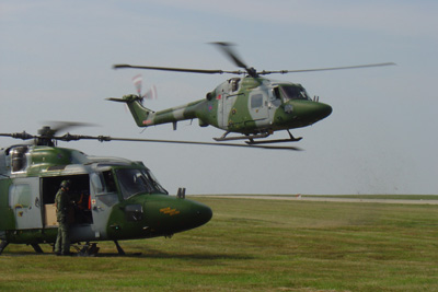 Army Air Corps Lynx