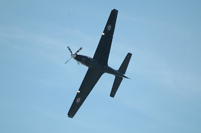 Tucano