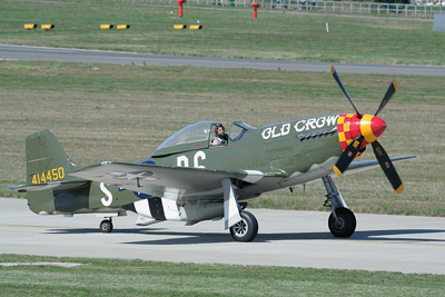 Mustang2 by Mick Dryden