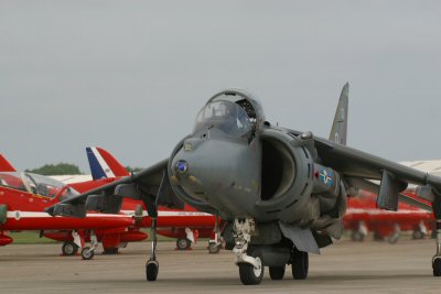 Harrier