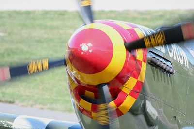 Mustang by Mick Dryden