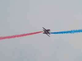 red arrows