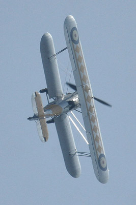 Nimrod by Mick Dryden