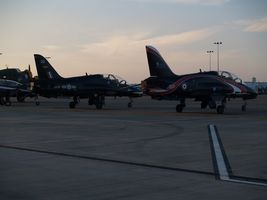 HAWKS AT SUNSET