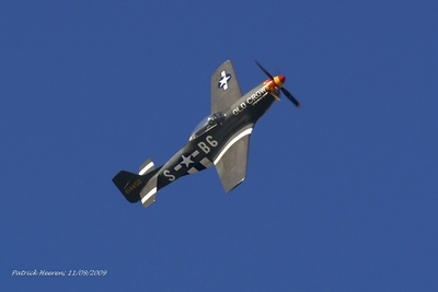P 51D Mustang
