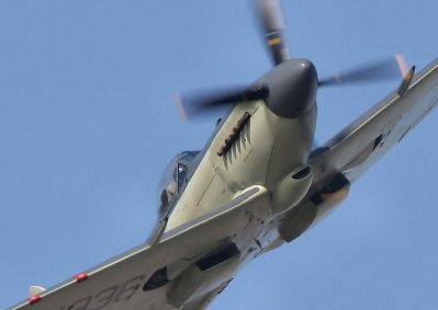 Seafire #6