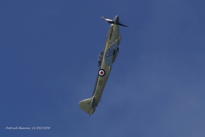 Seafire