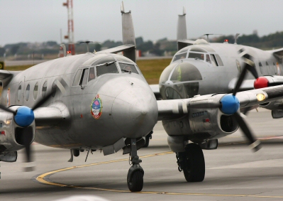 Flamant Pair Arrival