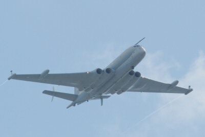Nimrod (1)