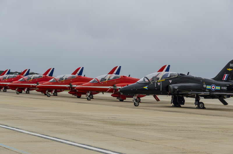 Hawks (optional black)