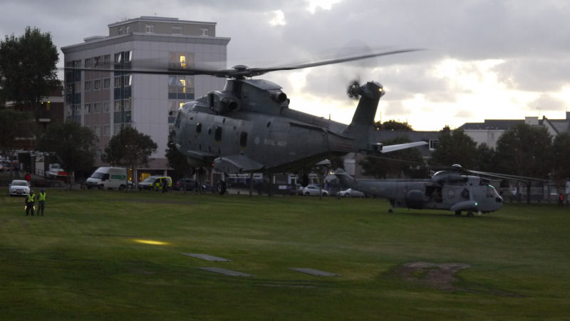 Merlin being guided into People's Park