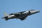 Harrier by Mick Dryden Harrier by Mick Dryden