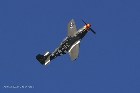P 51D Mustang