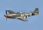 P51 #2