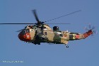 BAF Sea King