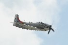 Skyraider