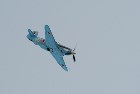 Yak 3 (1)