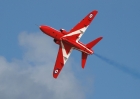 Red Arrow Hawk